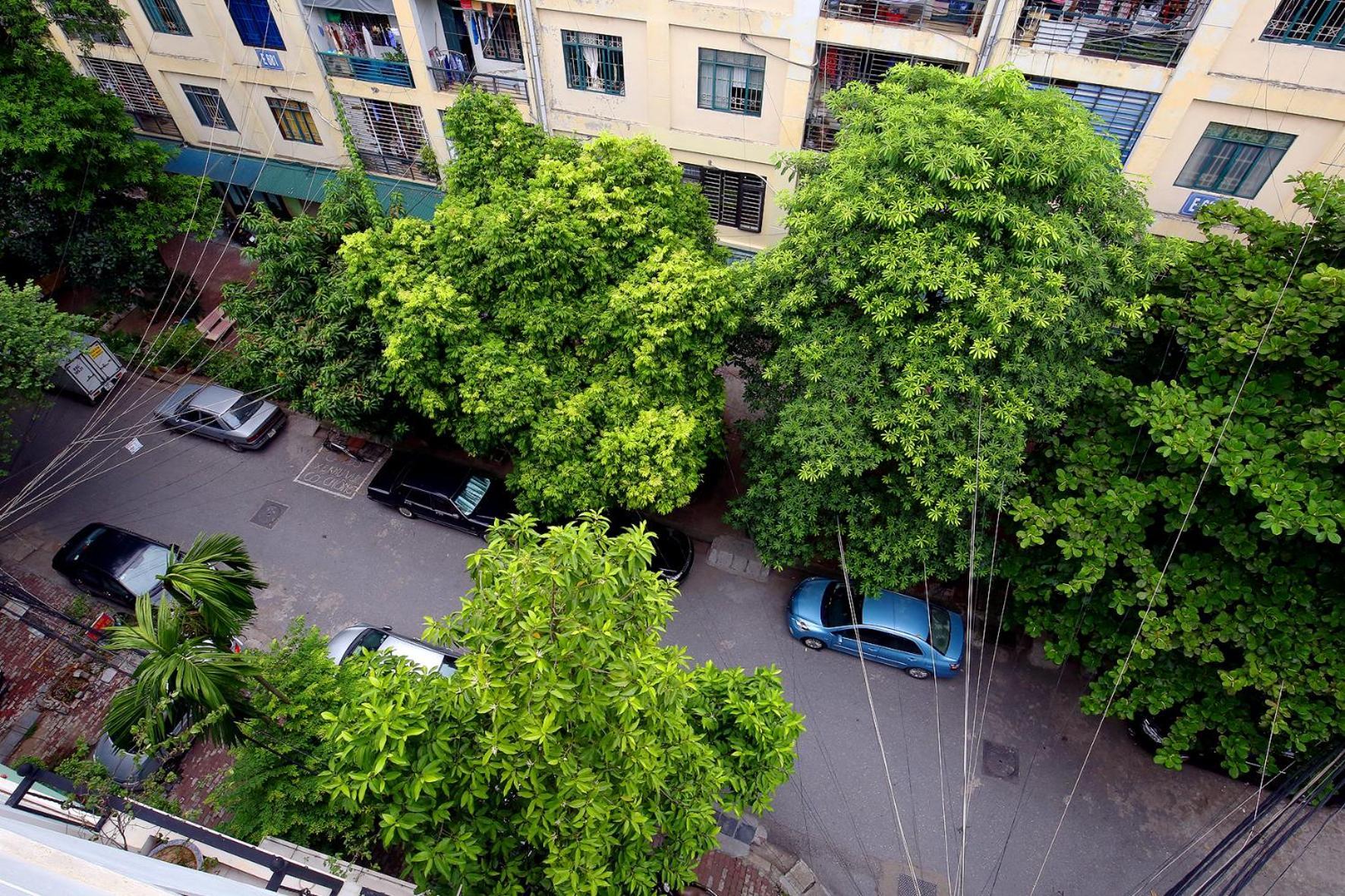 Apartment Lavender Building Near West - Serviced Hanoi